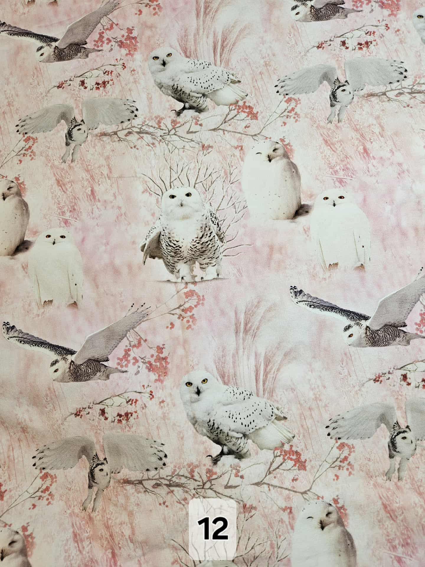 att.fKW5WIUoMvHQQPx0gqTryBU0w5gY5q12fDxDiWSu310